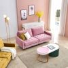 Modern Velvet fabric sofa 71" - Pink