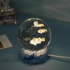 Stars And Seas; Ocean Series Crystal Ball Ornaments; Night Lights; Bedroom Desktop Decorations; Creative Birthday Gifts