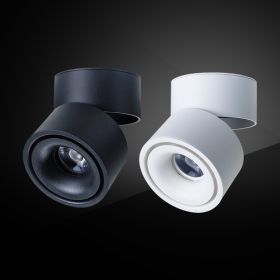 Folding Spotlight Led Surface Mounted Ceiling (Option: 12w-Black Neutral Bright Outfit)